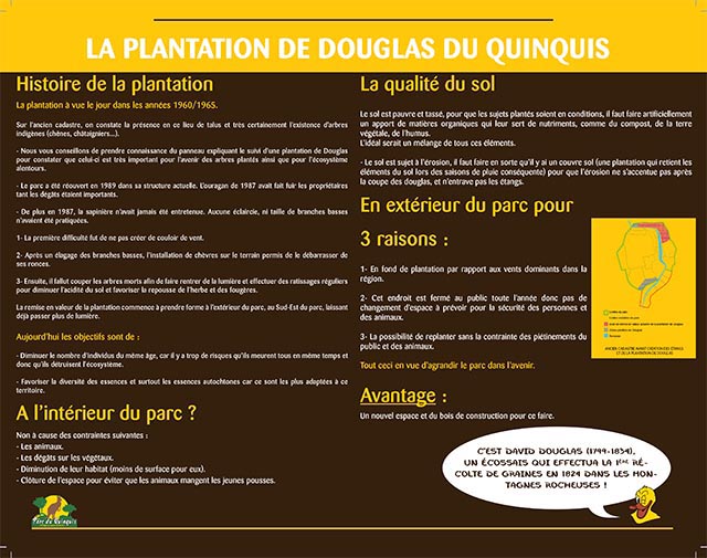 La Plantation de Douglas au Quinquis